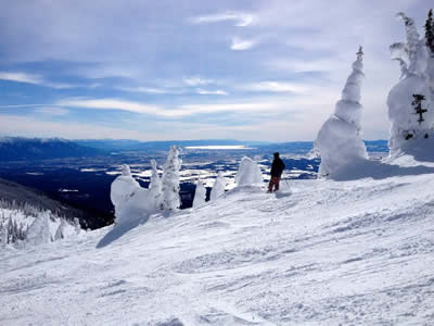 Whitefish Snow Ghosts